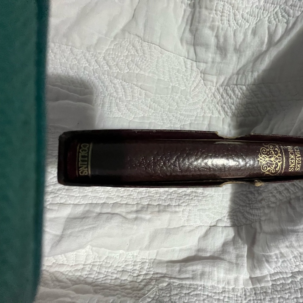 Wonderful reading.  Charles Dickens